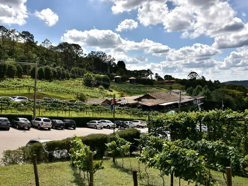 Quinta do Olivardo — foto 1