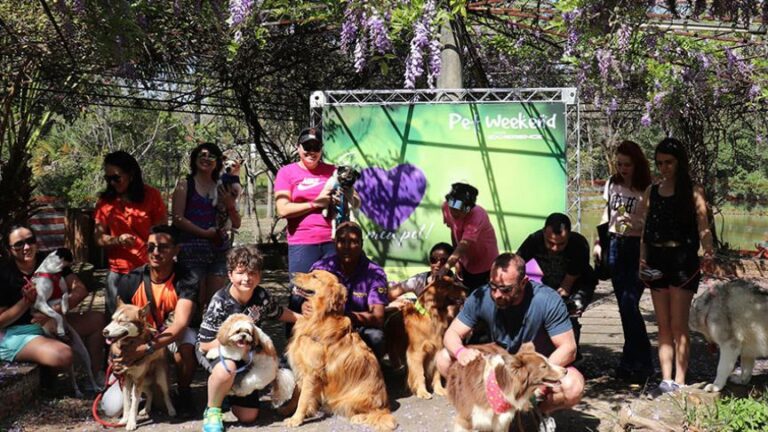 pet-weekend | Cidade Sorocaba